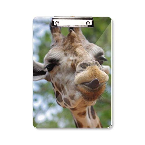 Carpeta portapapeles de organismo terrestre con diseño de ciervos y animales salvajes, tamaño A4