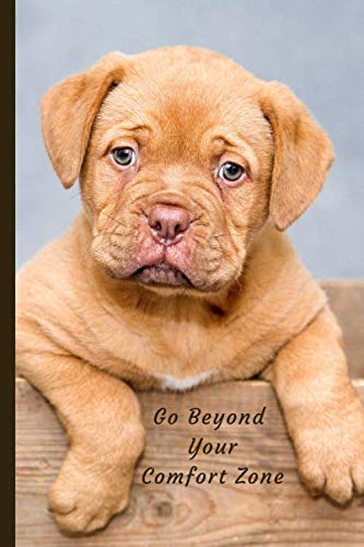 Go Beyond Your Comfort Zone: 2020 Weekly & Monthly Planner Organizer Diary with Goal Setting and Gratitude Sections (Positive Goals 6x9)