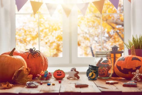 Enesco Heartwood Creek - Halloween Owl Mini Figure Figure, Multi-coloured - Image 3