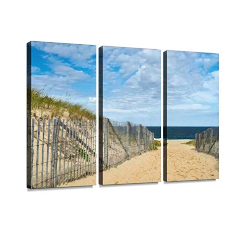 HABEN ARTWORK Path Way to The Beach at Cape Cod Massachusetts USA Photo Print On Canvas Wall Artwork Modern Photography Home Decor Unique Pattern Stretched and Framed 3 Piece HABEN ARTWORK Path Way to The Beach at Cape Cod Massachusetts USA Photo Print On Canvas Wall Artwork Modern Photography Home Decor Unique Pattern Stretched and Framed 3 Piece