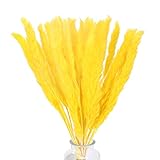 Natural y verdadero: La hierba de pampas decoracion está hecha de cañas 100% naturales, después de un cuidadoso teñido artificial, adquiere el brillante amarillo dorado del sol. Se balancea como una ola dorada en el viento.