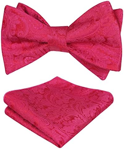 Alizeal Men's Retro Paisley Self Bow Tie and Handkerchief Set