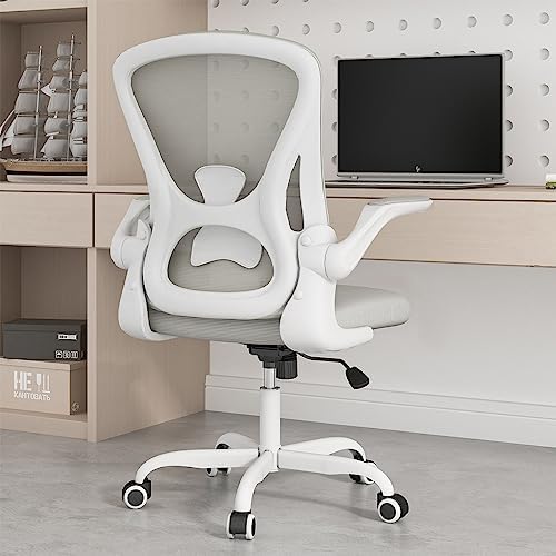 FLEXISPOT OC3B Executive Ergonomic Office Chair Height Adjustable Mesh