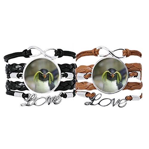 Pulsera de pingüino para parejas unidas por la ciencia de la naturaleza salvaje