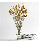 Natural Dried Bunny Tail Grass - 110~120 Stems Rabbit Tail Grass, Lagurus Ovatus for Boho Decor, ...