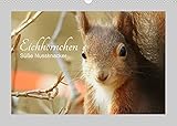 ÖKOLOGISCH - Der CALVENDO Verlag ist ein ökologisch agierendes Unternehmen, das sich zielorientiert für Umweltschutz und Nachhaltigkeit einsetzt. Durch die bedarfsgerechte Einzelfertigung im Print-on-demand Verfahren entsteht eine deutliche Abfallreduzierung. Dabei verwendet CALVENDO nur Papier, das den FSC-Vorgaben entspricht. Die Druck- und Produktionsstandorte befinden sich in Deutschland (Qualität Made in Germany) = klimabewusste Logistik durch kurze Transportwege.