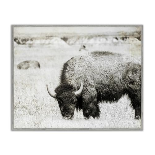 Bison Grazing Pasture Country Charm, 11 x 14 Inch Framed Giclée Print