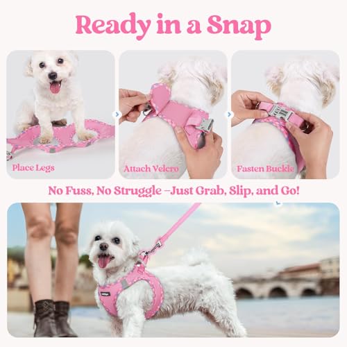 rabbitgoo Dog Harness Small Medium Sized and Leash Set, Step in Soft Light Puppy Vest, Breathable Mesh Pet Harness, Reflective for Safe Easy Walking, Pink & Plaid Trim L by rabbitgoo - Image 8