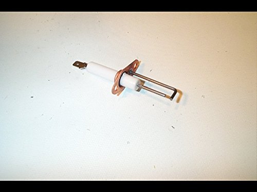 Controls 22100001052 ELECTRODE ASSEMBLY