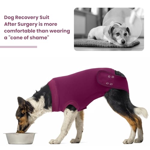 Image of IDOMIK Dog Recovery Suit for Neuter Spay,Anti-Licking Dog Surgical Bodysuit | Soft Dog Recovery Onesie Protects Abdominal Wounds, Easy to Wear, Easy Potty Breaks, E-Collar Cone Alternative,Purple,S