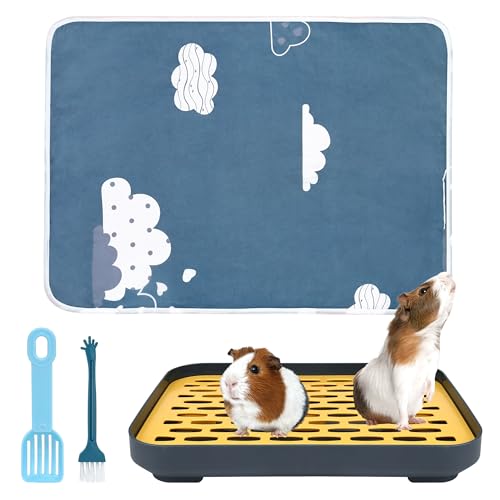 The Best Litter for Guinea Pigs A Buyer's Guide