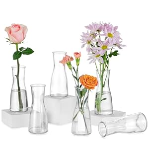 Hewory Kleine Vasen für Tischdeko Hochzeit: 6 Vase Glas Vasen Klein Tischdeko für Hochzeitsdeko – Modern Blumenvase Glas Kleine Glasvasen Flower Vase Schmal für Wohnzimmer Brautparty Wedding Esstisch