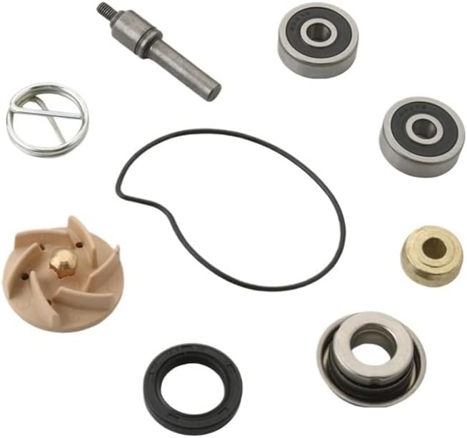 Water Pump Repair Kit for Gts250 Gtv250 Gts300 Gts Gtv 250cc Gts 300cc 100110210