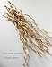 Dried Curly Willow Branches, 14-15 Stems Dried Twigs Sticks 21-23” Natural Dried Plants Decorative Branches for Rustic Home Decor, Beige