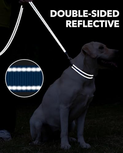 Taglory Hundeleine Kleine Hunde Leicht | Doppelseitig Reflektierend | Gepolsterter Griff | Bis zu 10 kg | 1.8m x 2cm | Himmelblau