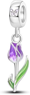 Hapour 925 Sterling Silver Charm Pendant Dangle Beads for Bracelet Necklace Tree Love Forever Moon Cloud Ladybug Avocado House CZ Charms DIY Jewelry Gift for Women Her