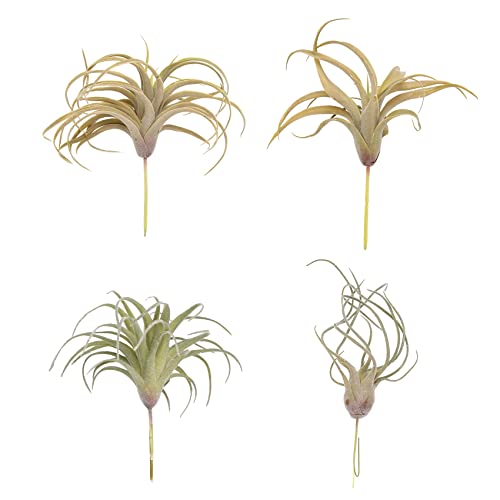 Surluoen 4 Paquetes de Plantas de Aire de Hierba de PiñA Artificial Flores Falsas Flocado de ImitacióN Tillandsia Bromelias DecoracióN de JardíN para el Hogar