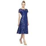 S.L. Fashions womens Short Sleeve Tea Length Fit and Flare (Petite Missy) Dress, Iris Sequin, 8 US