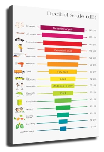 Sound Level Chart Educational Poster Decibel Noise Levels Canvas Wall-Art for School Classroom Office Workplace Decor(Unframed,1