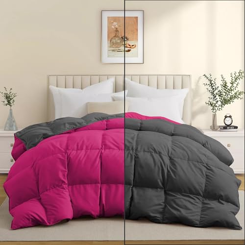 Image of Duel Tone Luxury Comfort 500 GSM Winter Comforter King Size 90 inchX106 inch - Heavy Winter Blanket 500 GSM Microfiber Fill - Duvet /Blanket King Size - Hot Pink /Dark Gray Color