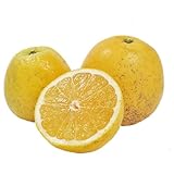 河内晩柑 訳あり小玉 S