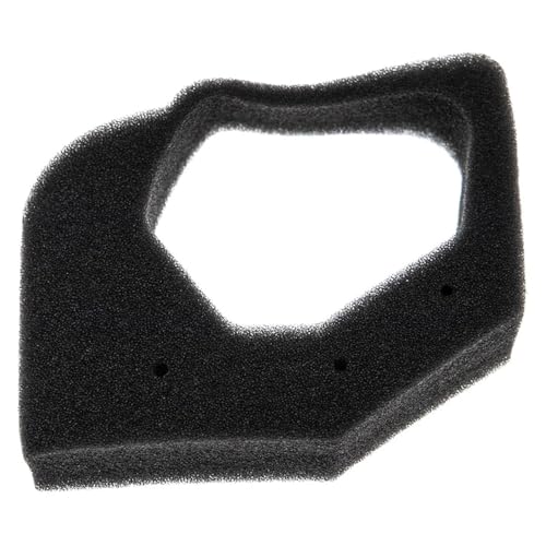 Filtre à air GX25 haute filtration pour moteur UMK425 et protection 17211-Z0H-000