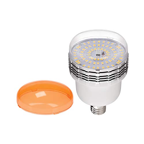 Westcott 45W Dimmable Daylight LED Bulb with Tungsten Gel Cap for Photography and Video