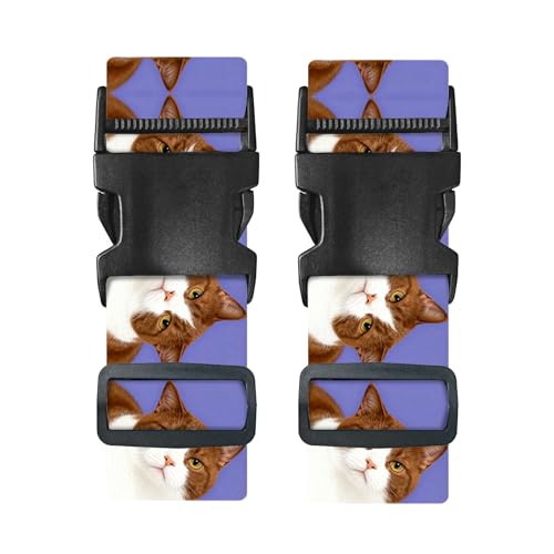 Image of Nuxovilar Luggage Straps Set for Suitcase 1.96x71in Polyester | Cargo Strap Travel Belt Security Buckle Band Pet Lover Family Trip Casual Travel (Cats Pattern)