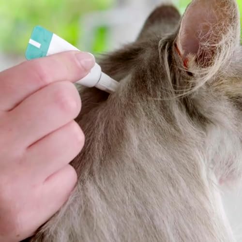 Bravecto Plus Antipulgas e Carrapatos Gatos 6,25 a 12,5 Kg