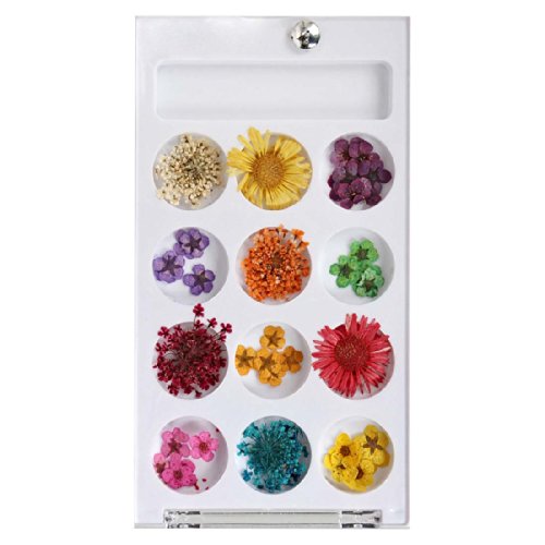 BMC 12 Style Variety Multicolor Real Dried Pressed Flowers 3D Nail Polish Art Accessories - Set 2