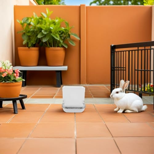 Dispensador automático de comida para conejos y hurones con bandeja ancha poco profunda 7