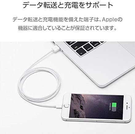 Amazon.co.jp: iPhone 1メートル 純正 2本セット 充電ケーブル