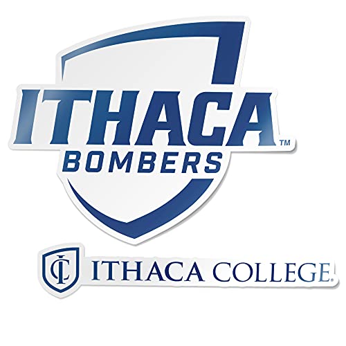 Desert Cactus Ithaca College IC Bombers Sticker Vinyl Decal Laptop Water Bottle Car Scrapbook (4 Inch Set V1)