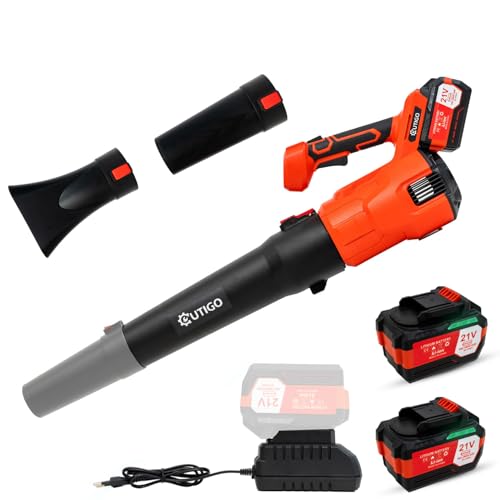 Cordless 21V Leaf Blower with 2 Batteries