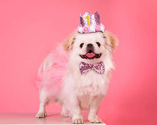 Legendog Dog Tutu Skirt, Dog Birthday Party Supplies - Dog Birthday Hat - Dog Bowtie, Cute Pink Dog Birthday Outfit Girl, Dog Dresses For Small Dogs #TOP6