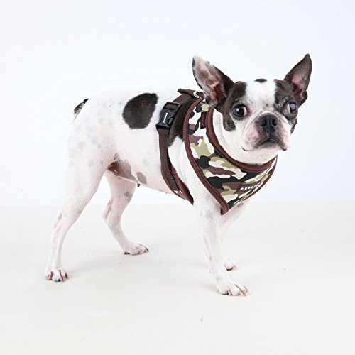 Puppia Leggenda Harness, Grande, Colore: Marrone