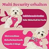 rabbitgoo Hundegeschirr Kleine Hunde, Step-in Welpengeschirr Weich Mesh für Spaziergänge, Atmungsaktives und Reflektierendes Brustgeschirr für Kleine und Mittelgroße Hunde, Rosarot, XS