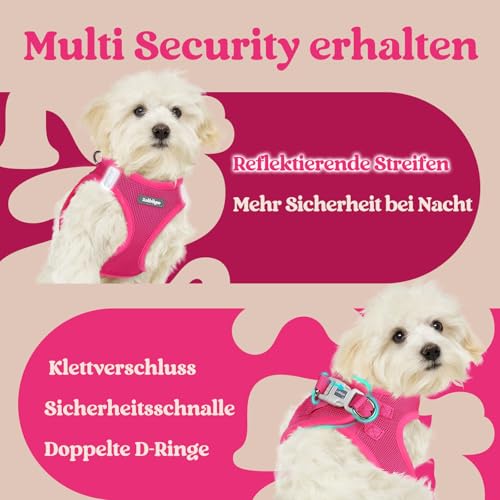 rabbitgoo Hundegeschirr Kleine Hunde, Step-in Welpengeschirr Weich Mesh für Spaziergänge, Atmungsaktives und Reflektierendes Brustgeschirr für Kleine und Mittelgroße Hunde, Rosarot, XS