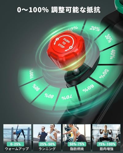 DMASUN エアロバイク スピンバイク