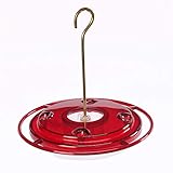 Birds Choice NP1008 Hummerfest Feeder, Hummingbird Nectar Feeder with Ant Moat, 8oz Capacity, Red