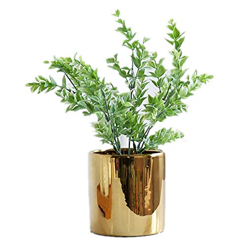 ZENGYUAN, pianta grassa in Vaso con Foglie Verdi per Piante grasse, Decorazione da Tavolo, per Interni e salotti E