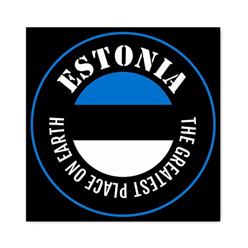 Drapeau Estonie decoration murale bois Evans1nism pour salon et cafe chic