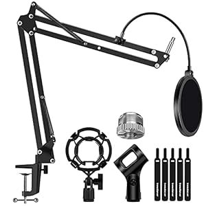 InnoGear Microphone Stand Mic Arm Boom Arm Set with Shock Mount, Mic Clip Holder, Pop Filter, Screw Adapter, Table…