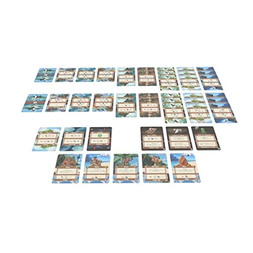 Nuts! Palm Island - vue 4