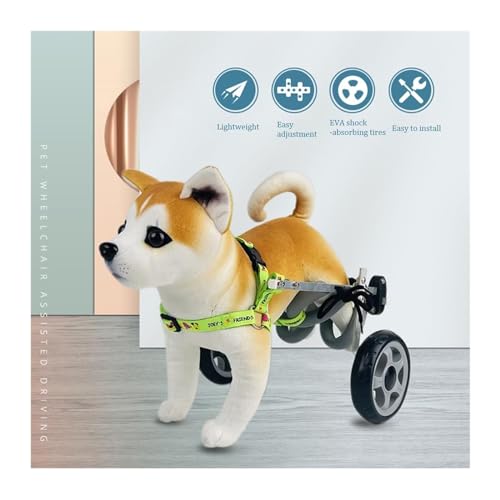 Silla de ruedas para perros con discapacidad, recupera la alegría de pasear 6