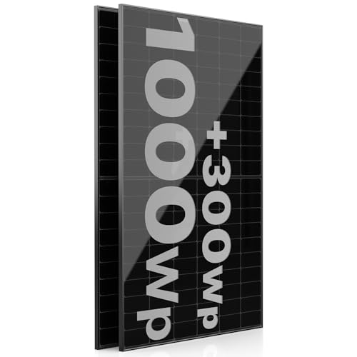 Solarpanel 2x 500W Jolywood Bifazial Glas-Glas PV-Module mit 2x2mm Glas, modernster n-Type Technology, Erweiterungs-Module für Ihre Mini-Solaranlage, Balkonkraftwerk oder DIY Komplettanlage (2er)