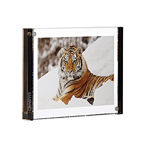 Canetti Color Edge Magnet Frame Graphite Square 4x4 inch