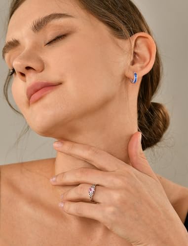 YL 13mm Halo Hoop Earrings 925 Sterling Sliver Round Huggie Earring Princess Cut Birthstone Jewelry for Women3