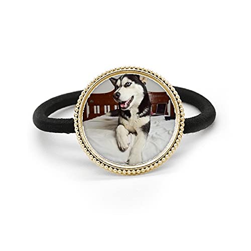 Coletero de plata con diseño de perro Husky y goma elástica para el pelo