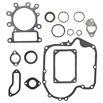 Juego De Juntas Para Motor Briggs & Stratton 697191 794150